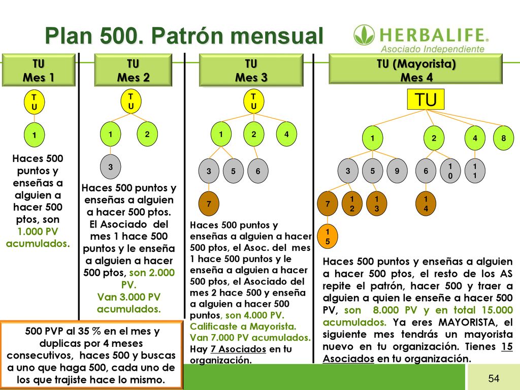 Haces 500 puntos y enseñas a alguien a hacer 500 ptos.