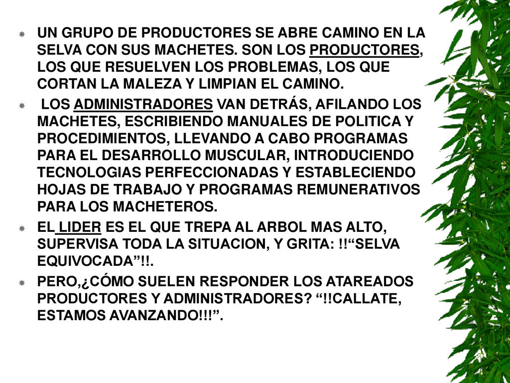 UN GRUPO DE PRODUCTORES SE ABRE CAMINO EN LA SELVA CON SUS MACHETES