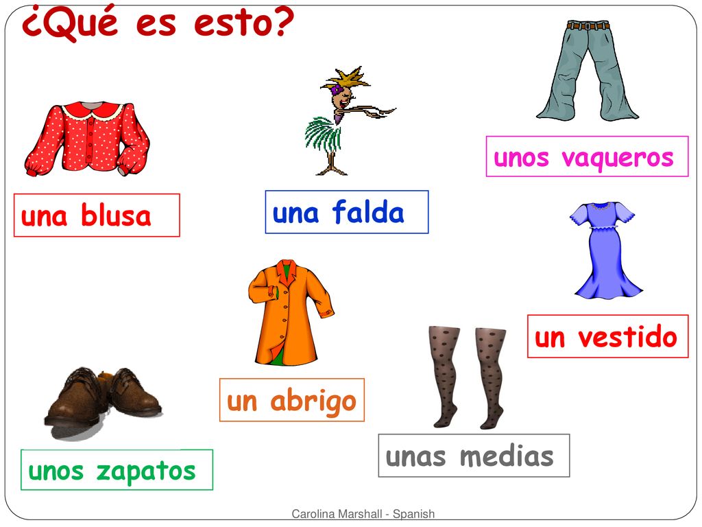 ¿Qué es esto una falda una blusa un vestido un abrigo unas medias