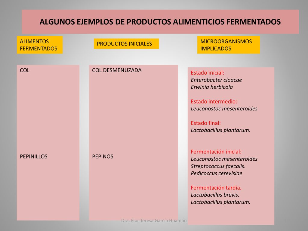 ALGUNOS EJEMPLOS DE PRODUCTOS ALIMENTICIOS FERMENTADOS