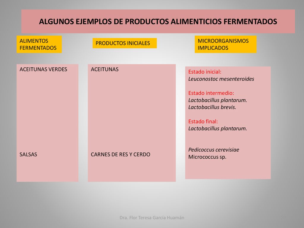 ALGUNOS EJEMPLOS DE PRODUCTOS ALIMENTICIOS FERMENTADOS