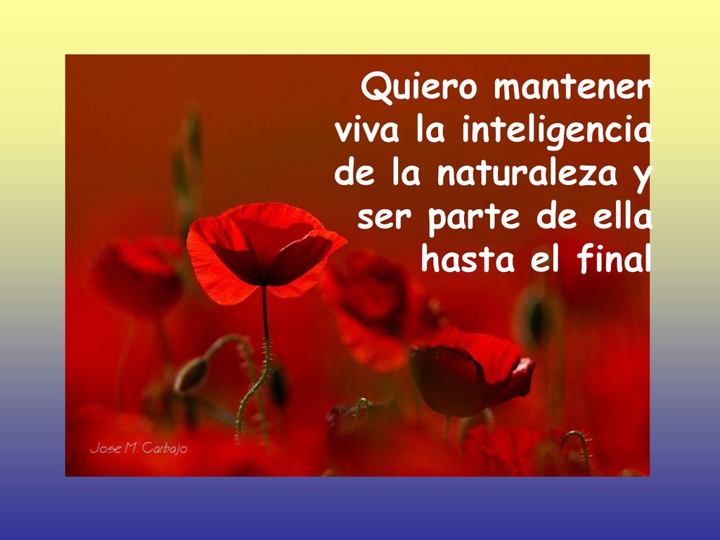 Quiero mantener viva la inteligencia de la naturaleza y ser parte de ella hasta el final