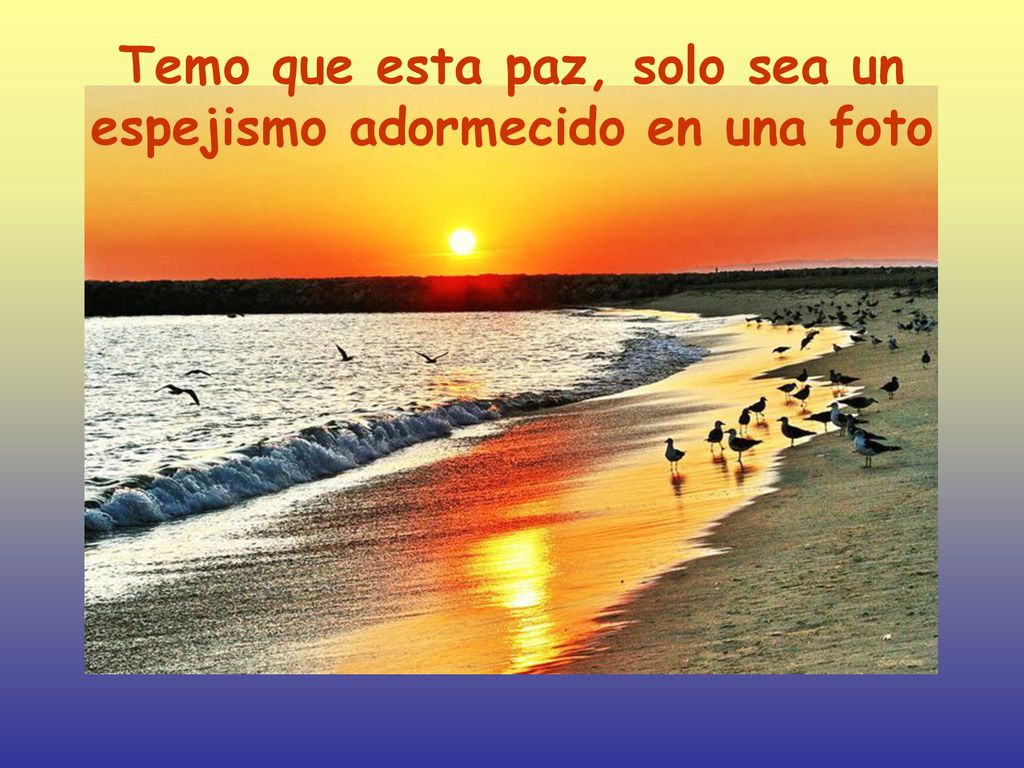 Temo que esta paz, solo sea un espejismo adormecido en una foto