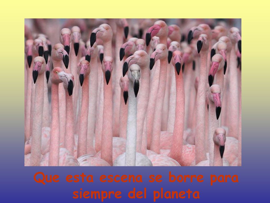 Que esta escena se borre para siempre del planeta
