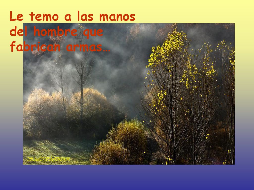 Le temo a las manos del hombre que fabrican armas…