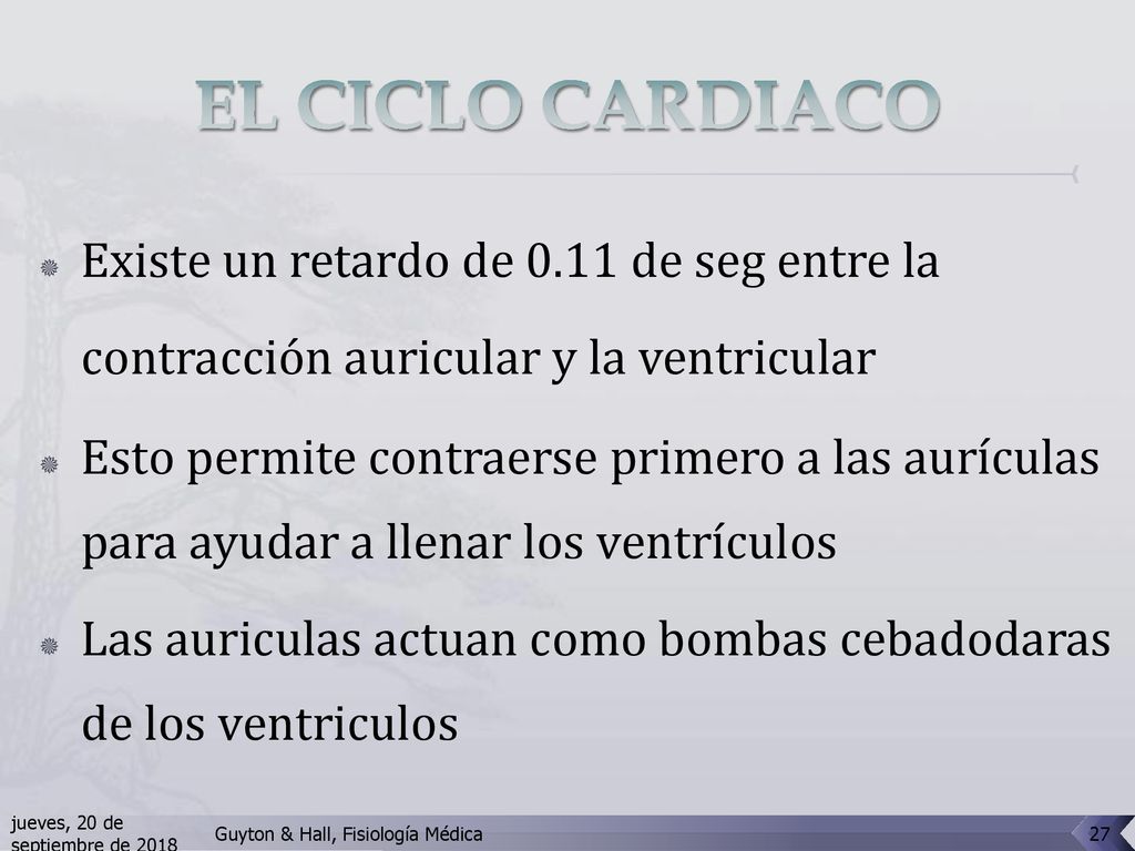 EL CICLO CARDIACO Existe un retardo de 0.11 de seg entre la contracción auricular y la ventricular.