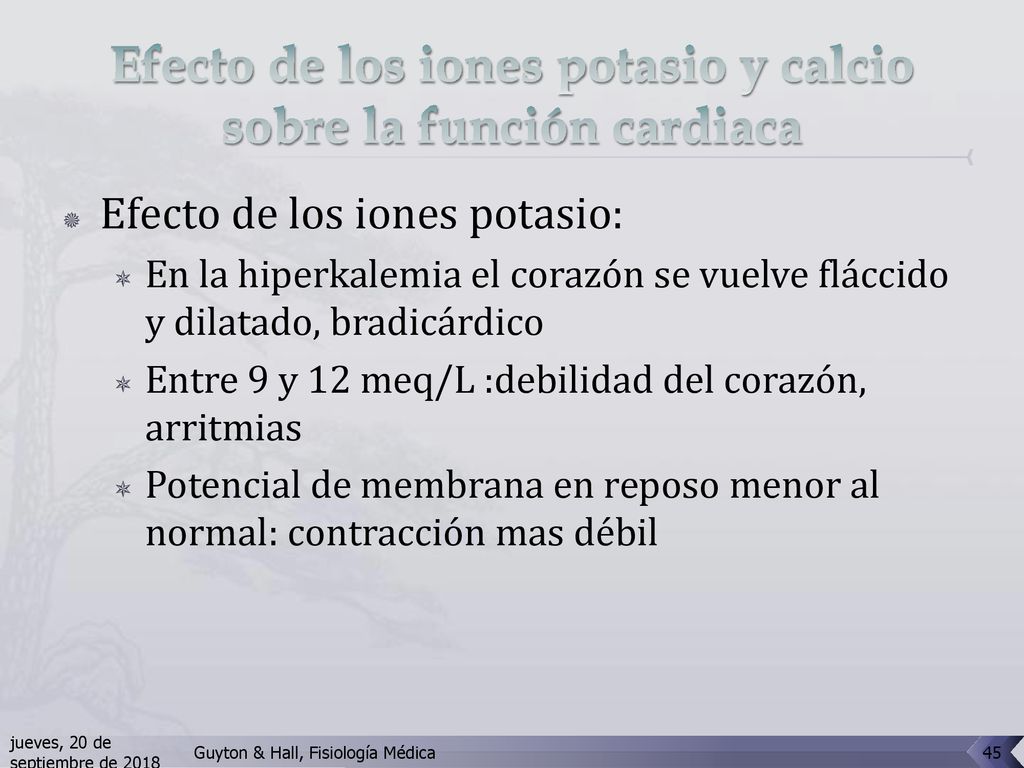 Efecto de los iones potasio y calcio sobre la función cardiaca