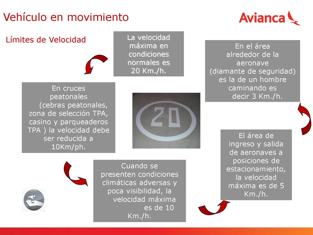 La velocidad máxima en condiciones normales es 20 Km./h.