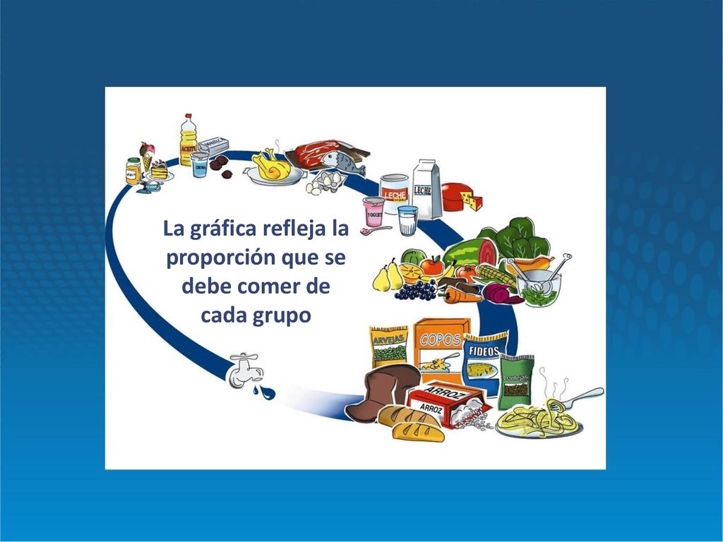 La gráfica refleja la proporción que se debe comer de cada grupo