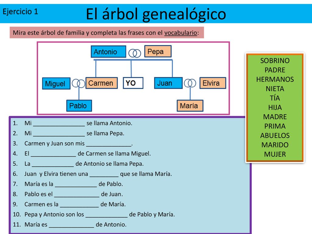 El árbol genealógico Ejercicio 1 SOBRINO PADRE HERMANOS NIETA TÍA HIJA