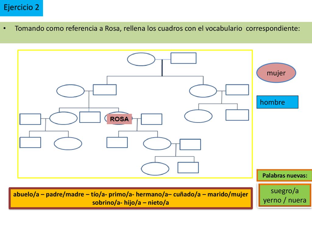 Ejercicio 2 Tomando como referencia a Rosa, rellena los cuadros con el vocabulario correspondiente: