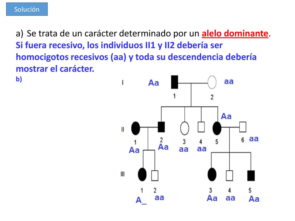 Se trata de un carácter determinado por un alelo dominante.