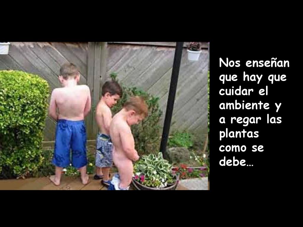 Nos enseñan que hay que cuidar el ambiente y a regar las plantas como se debe…