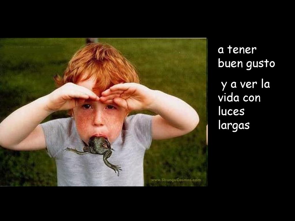 a tener buen gusto y a ver la vida con luces largas