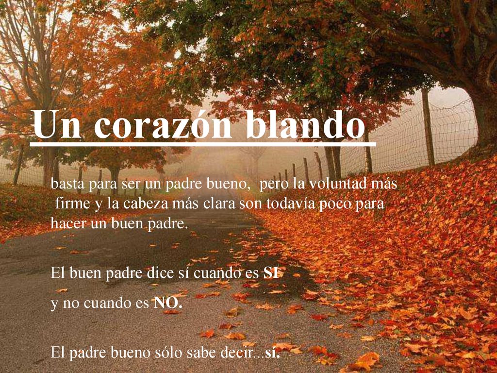 Un corazón blando basta para ser un padre bueno, pero la voluntad más firme y la cabeza más clara son todavía poco para hacer un buen padre.