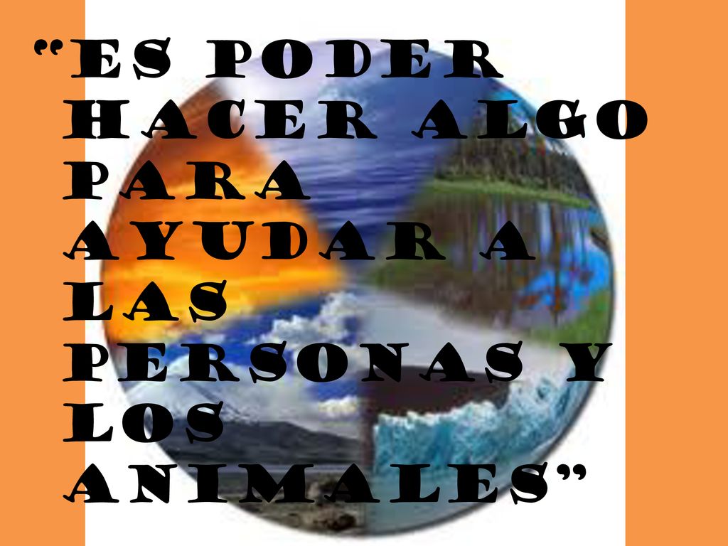 Es poder hacer algo para ayudar a las personas y los animales