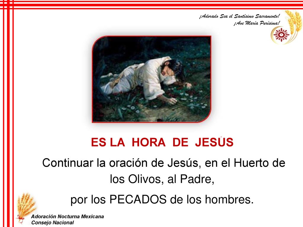 Continuar la oración de Jesús, en el Huerto de los Olivos, al Padre,