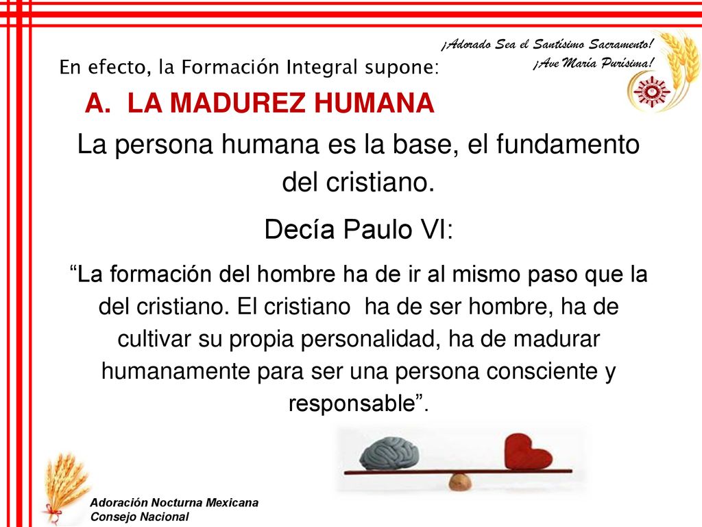 La persona humana es la base, el fundamento del cristiano.