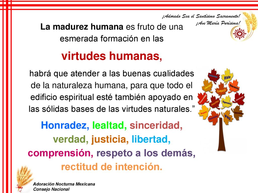La madurez humana es fruto de una esmerada formación en las