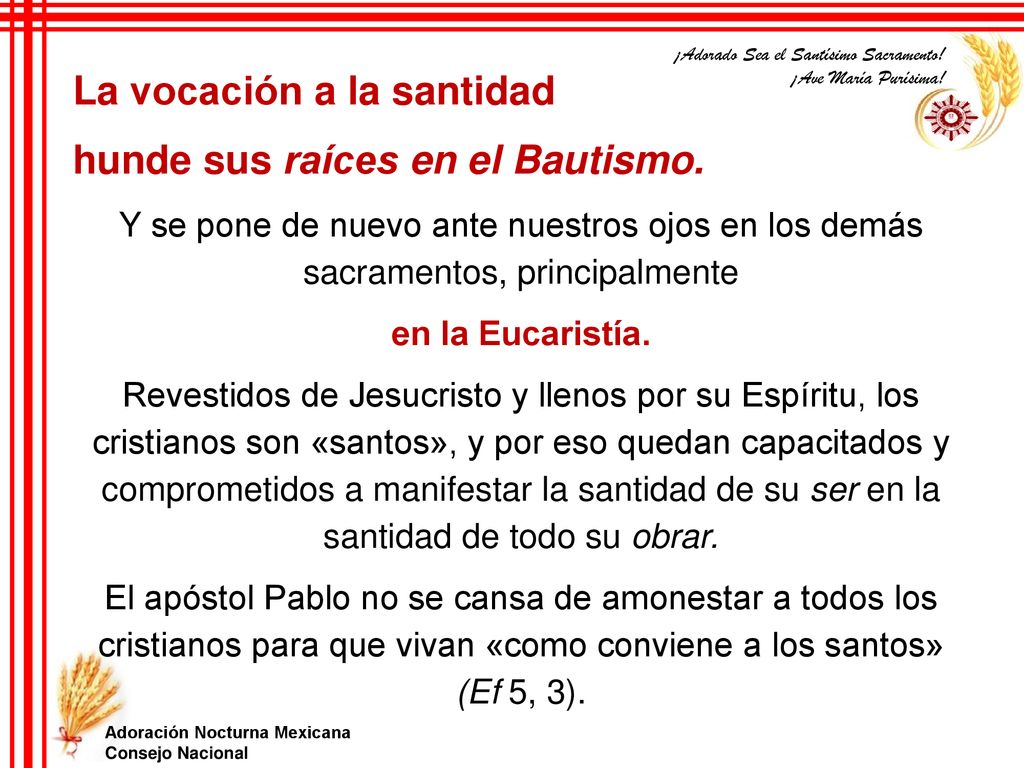 La vocación a la santidad hunde sus raíces en el Bautismo.