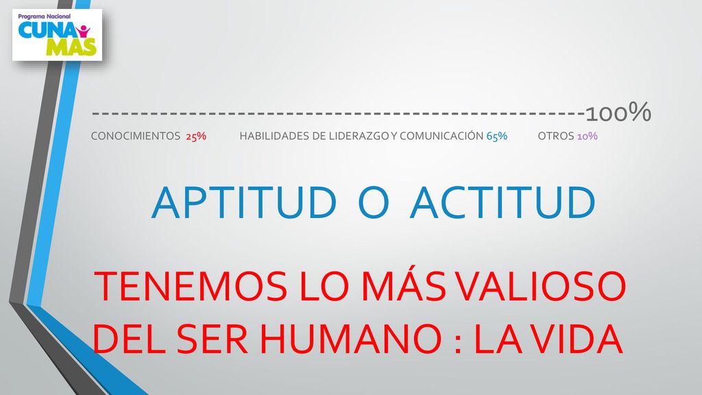 % CONOCIMIENTOS 25% HABILIDADES DE LIDERAZGO Y COMUNICACIÓN 65% OTROS 10%