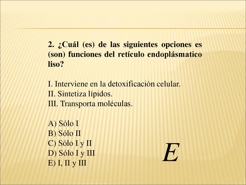 2. ¿Cuál (es) de las siguientes opciones es (son) funciones del retículo endoplásmatico liso