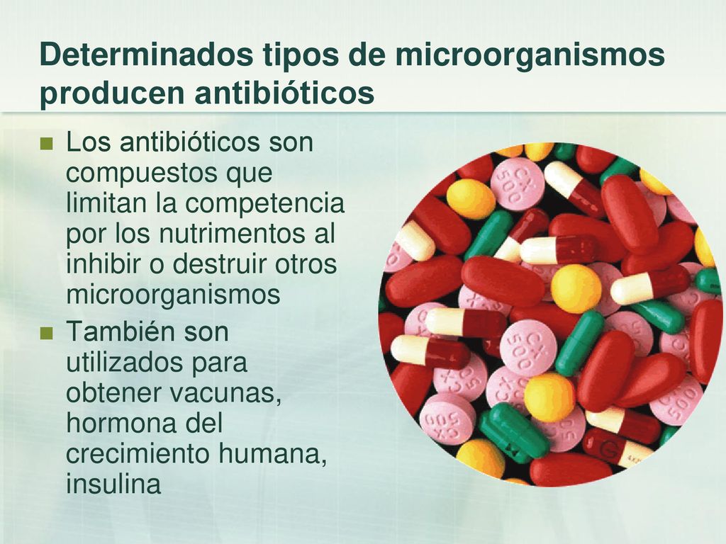 Determinados tipos de microorganismos producen antibióticos