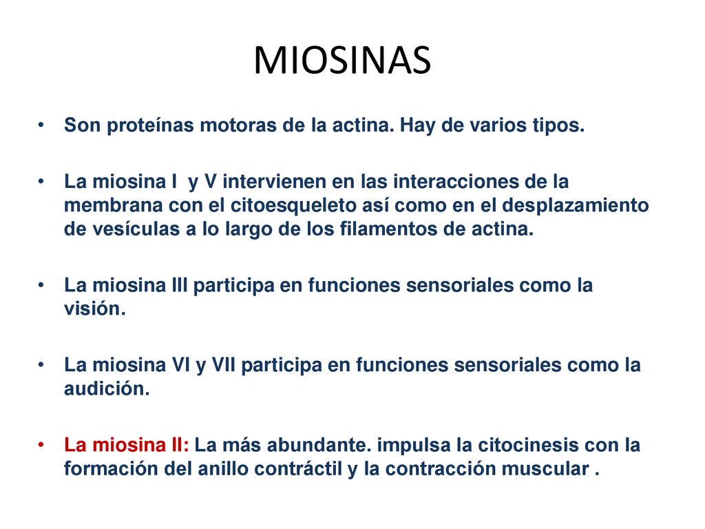 MIOSINAS Son proteínas motoras de la actina. Hay de varios tipos.