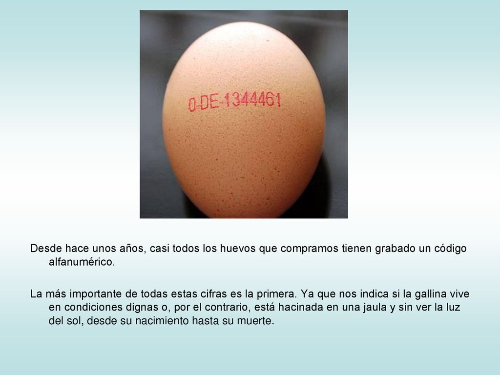 Desde hace unos años, casi todos los huevos que compramos tienen grabado un código alfanumérico.