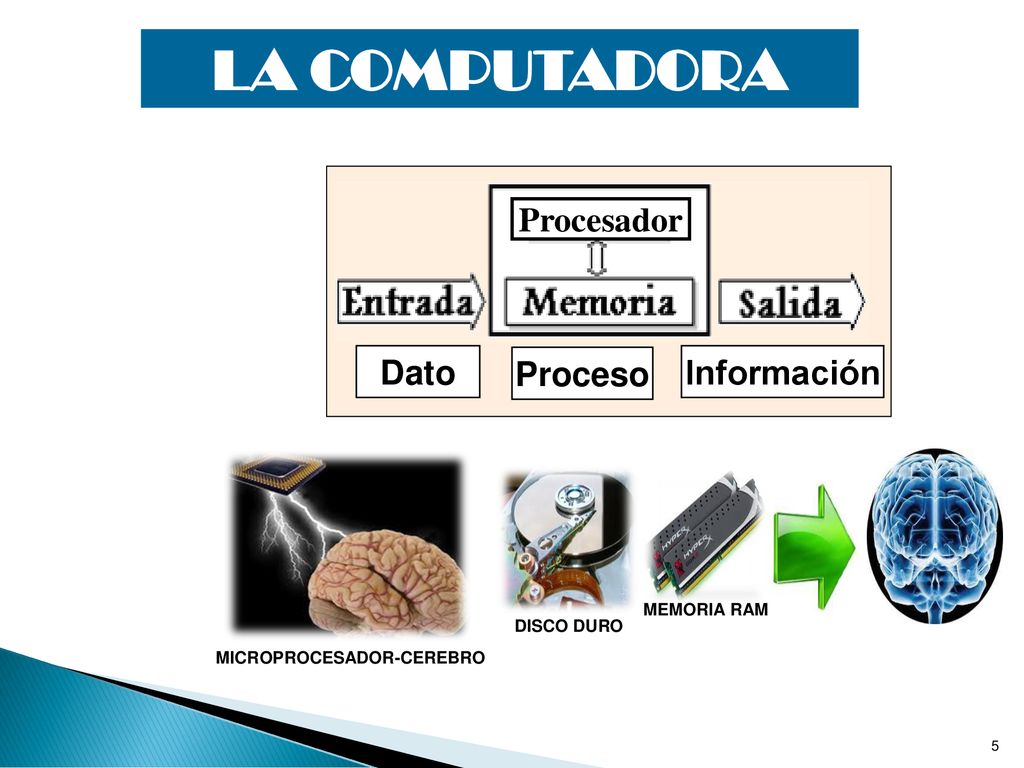 LA COMPUTADORA Dato Información Proceso Procesador MEMORIA RAM
