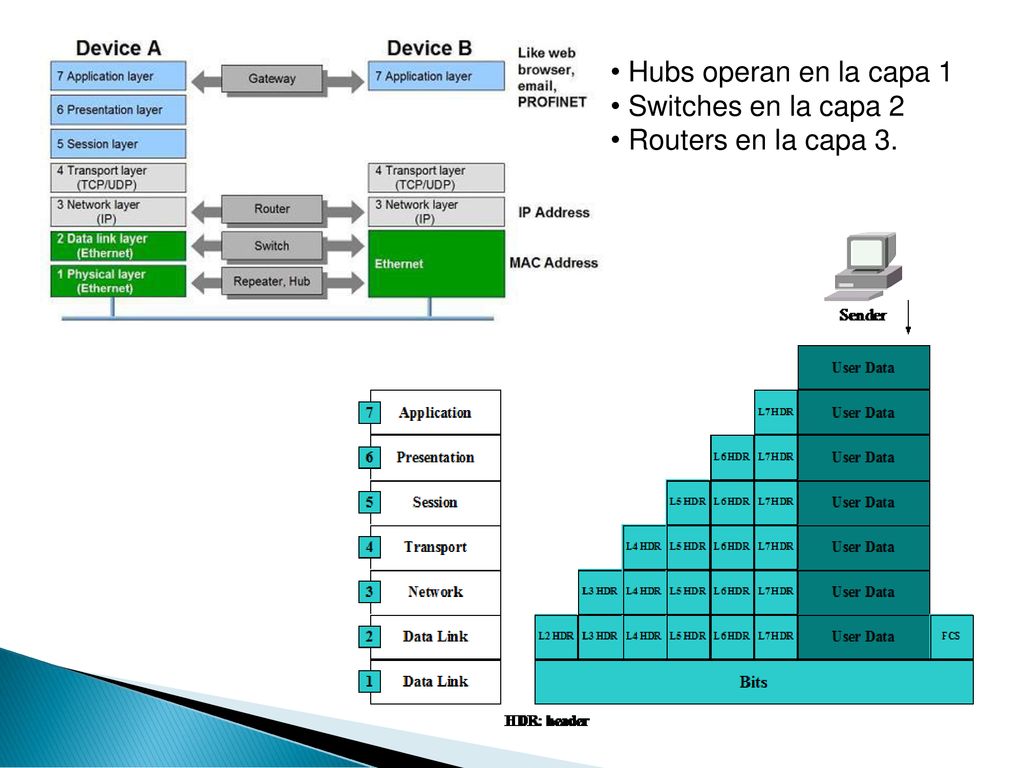 Hubs operan en la capa 1 Switches en la capa 2 Routers en la capa 3.