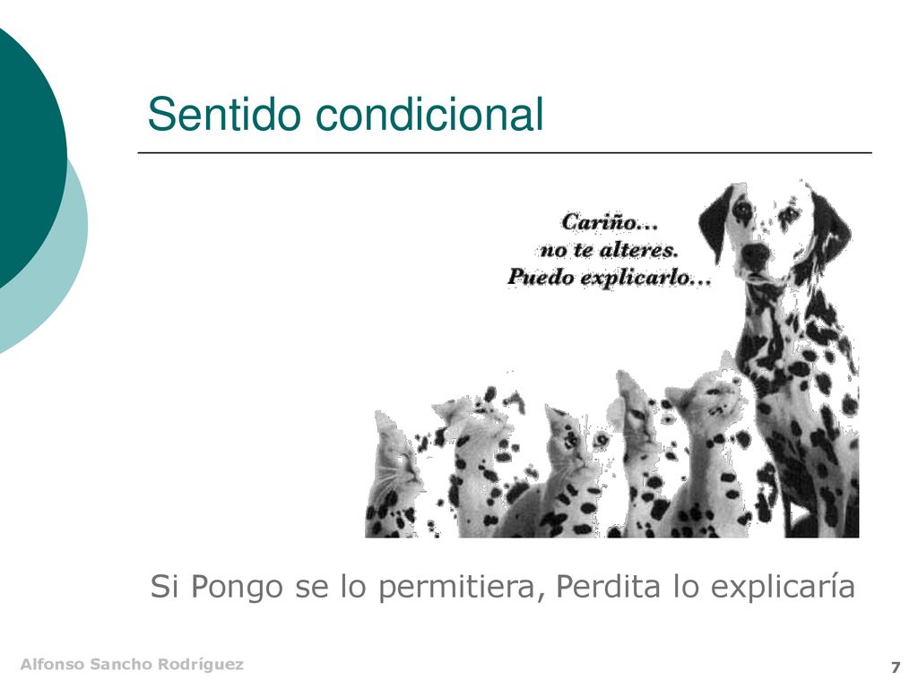 Sentido condicional Si Pongo se lo permitiera, Perdita lo explicaría