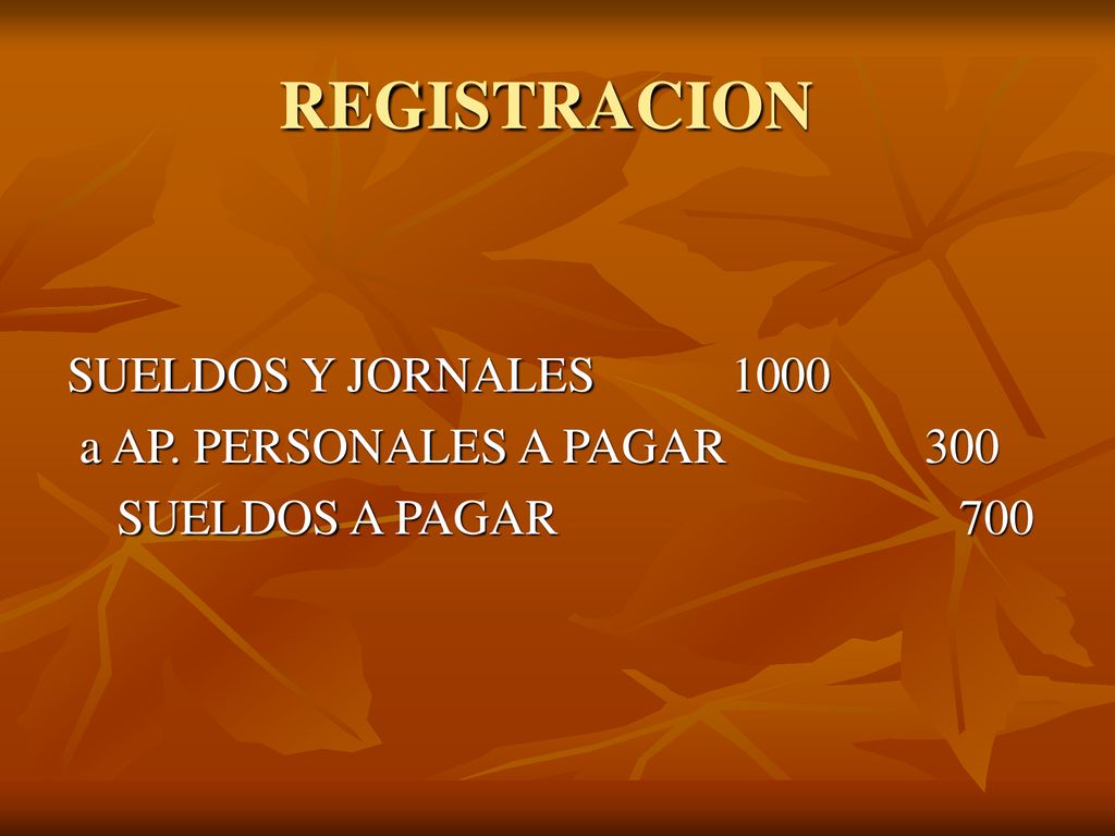 REGISTRACION SUELDOS Y JORNALES 1000 a AP. PERSONALES A PAGAR 300