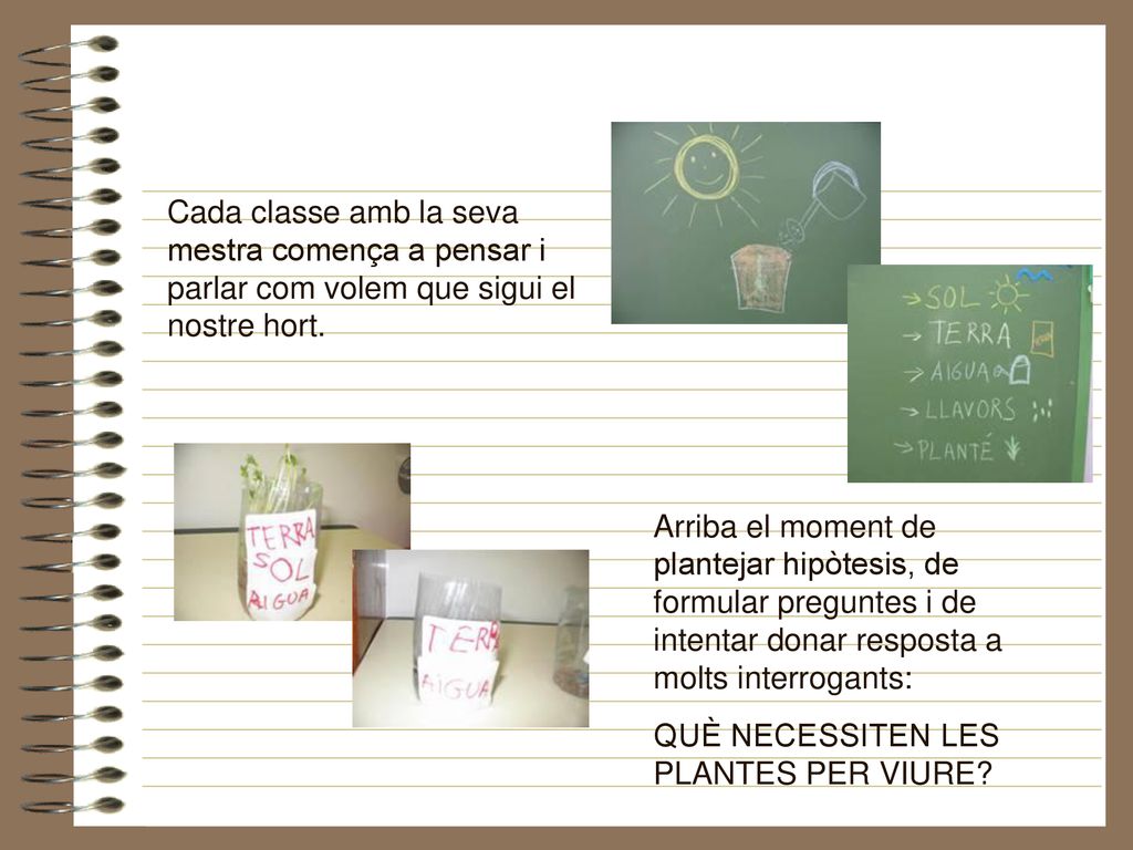 Cada classe amb la seva mestra comença a pensar i parlar com volem que sigui el nostre hort.