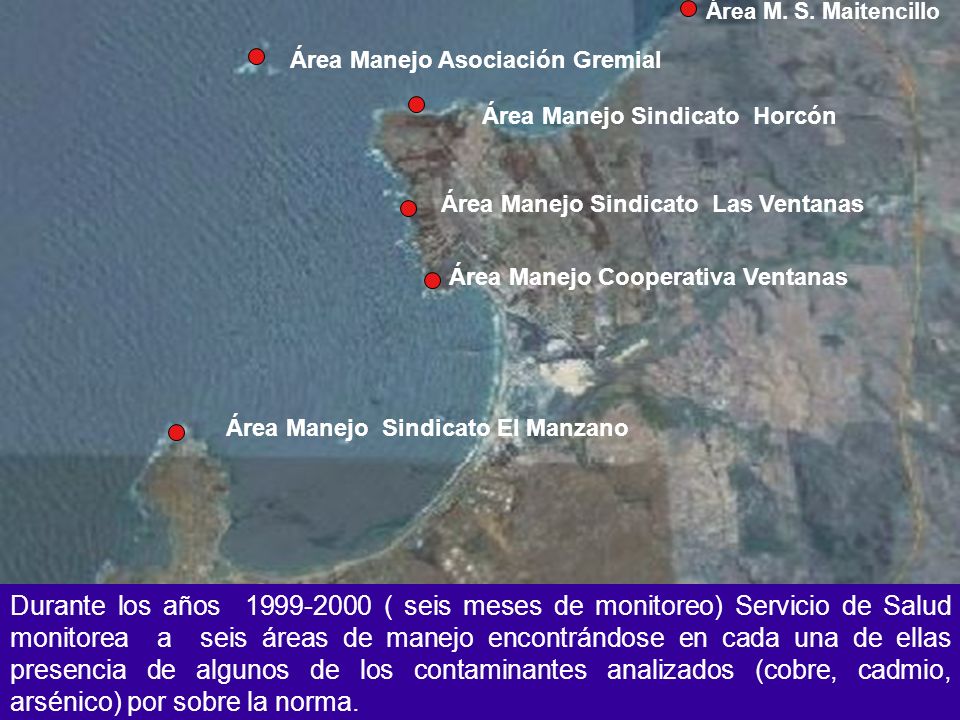Área M. S. Maitencillo Área Manejo Asociación Gremial. Área Manejo Sindicato Horcón. Área Manejo Sindicato Las Ventanas.