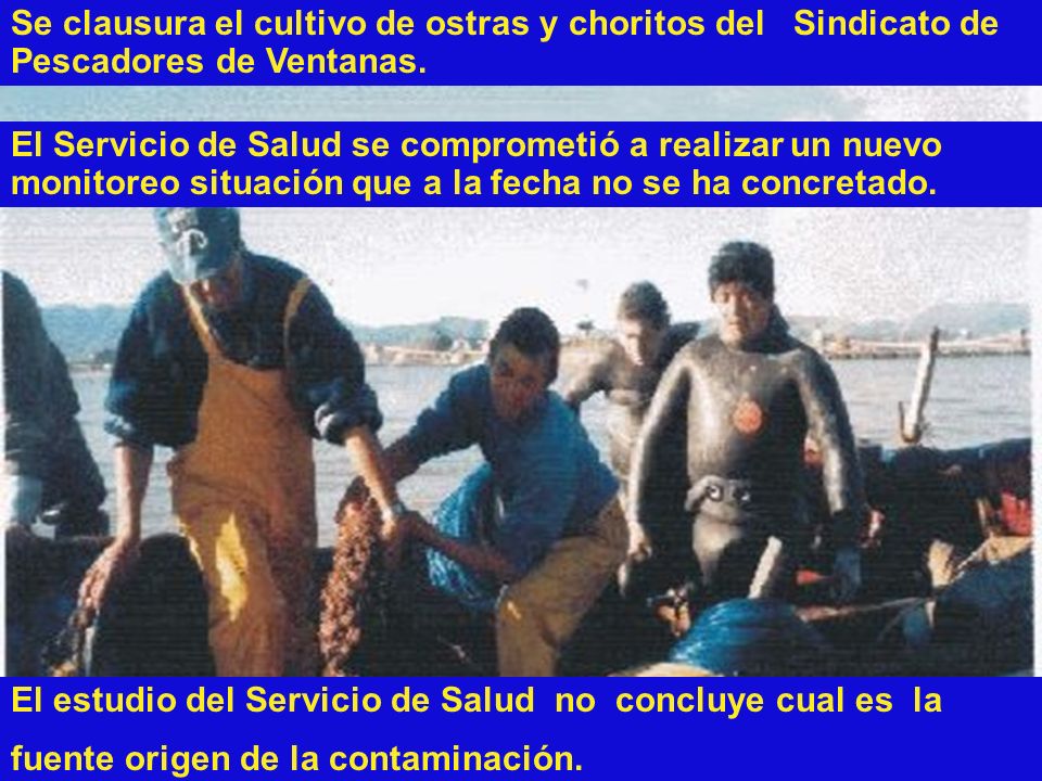 Se clausura el cultivo de ostras y choritos del Sindicato de Pescadores de Ventanas.
