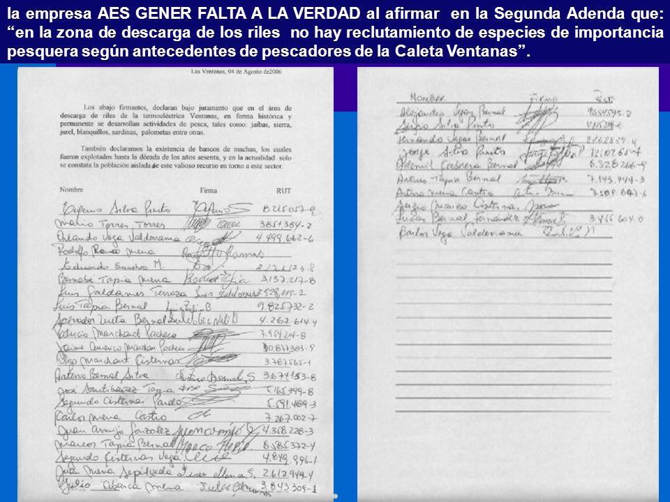 la empresa AES GENER FALTA A LA VERDAD al afirmar en la Segunda Adenda que: en la zona de descarga de los riles no hay reclutamiento de especies de importancia pesquera según antecedentes de pescadores de la Caleta Ventanas .