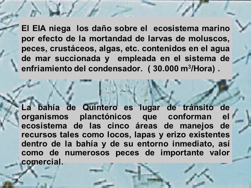 El EIA niega los daño sobre el ecosistema marino por efecto de la mortandad de larvas de moluscos, peces, crustáceos, algas, etc. contenidos en el agua de mar succionada y empleada en el sistema de enfriamiento del condensador. ( m3/Hora) .