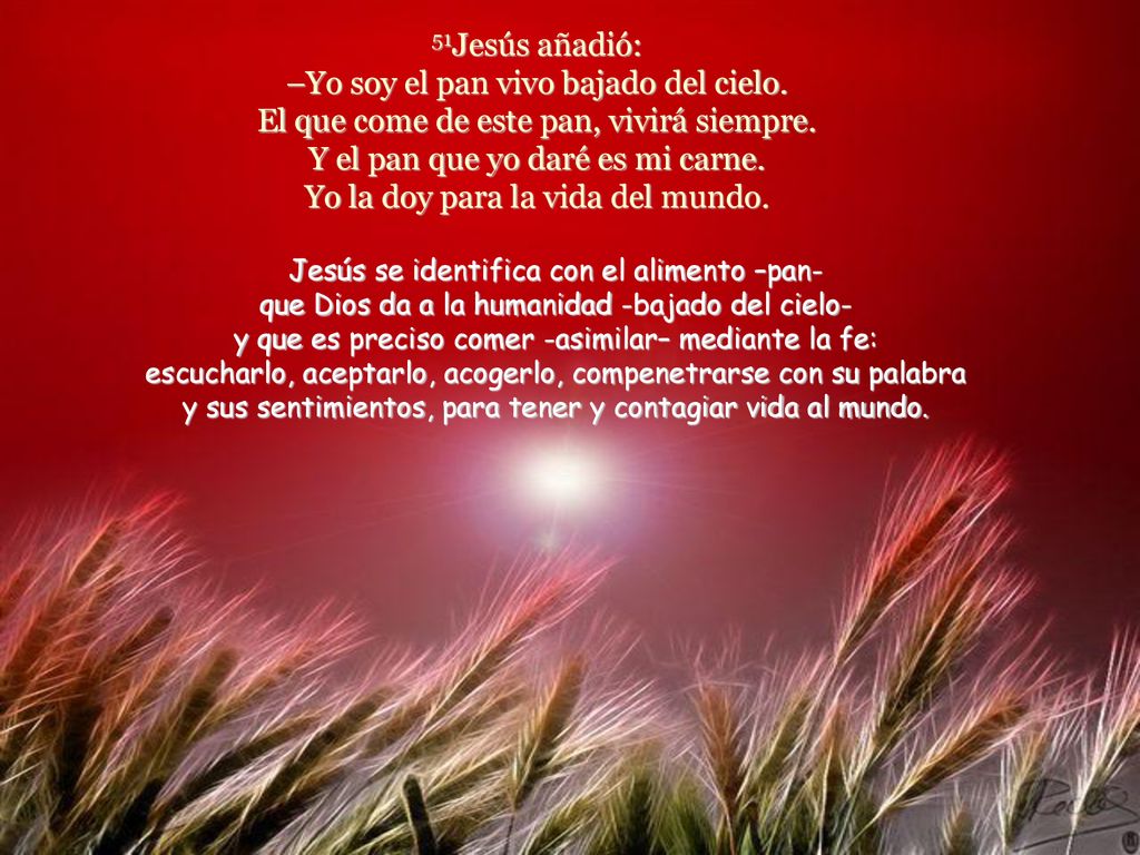 51Jesús añadió: –Yo soy el pan vivo bajado del cielo