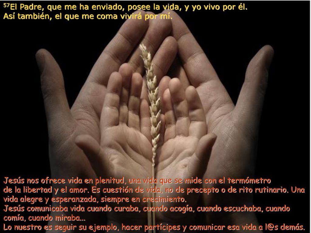 57El Padre, que me ha enviado, posee la vida, y yo vivo por él