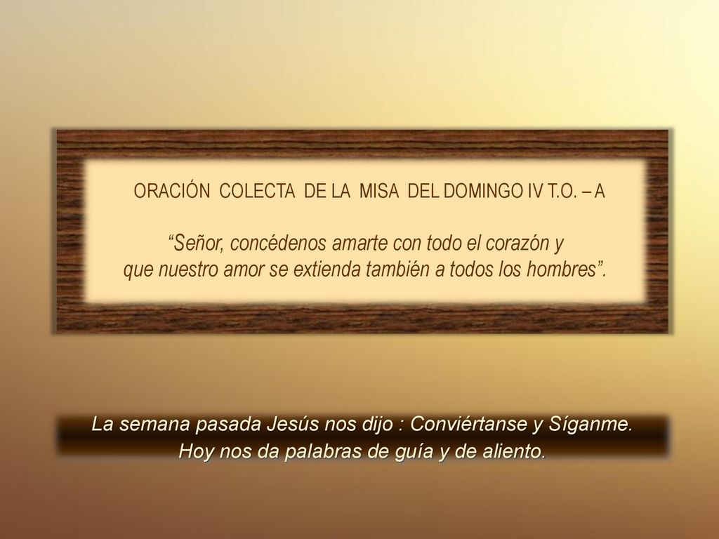 Señor, concédenos amarte con todo el corazón y