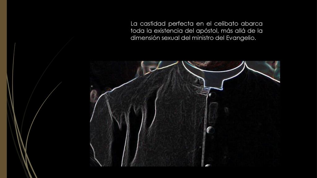 La castidad perfecta en el celibato abarca toda la existencia del apóstol, más allá de la dimensión sexual del ministro del Evangelio.
