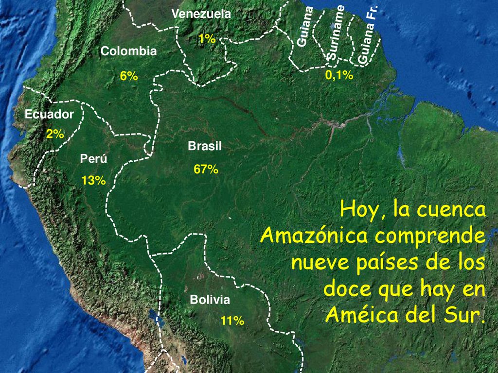 Venezuela Guiana. Suriname. Guiana Fr. 1% Colombia. 6% 0,1% Ecuador. 2% Brasil. Perú. 67%