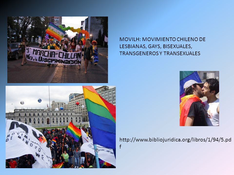 MOVILH: MOVIMIENTO CHILENO DE LESBIANAS, GAYS, BISEXUALES, TRANSGENEROS Y TRANSEXUALES