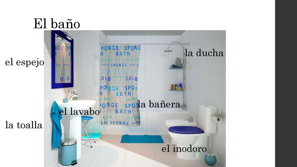 El baño la ducha el espejo la bañera el lavabo la toalla el inodoro