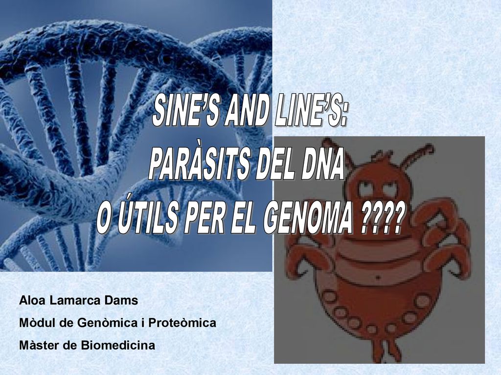 SINE’S AND LINE’S: PARÀSITS DEL DNA O ÚTILS PER EL GENOMA