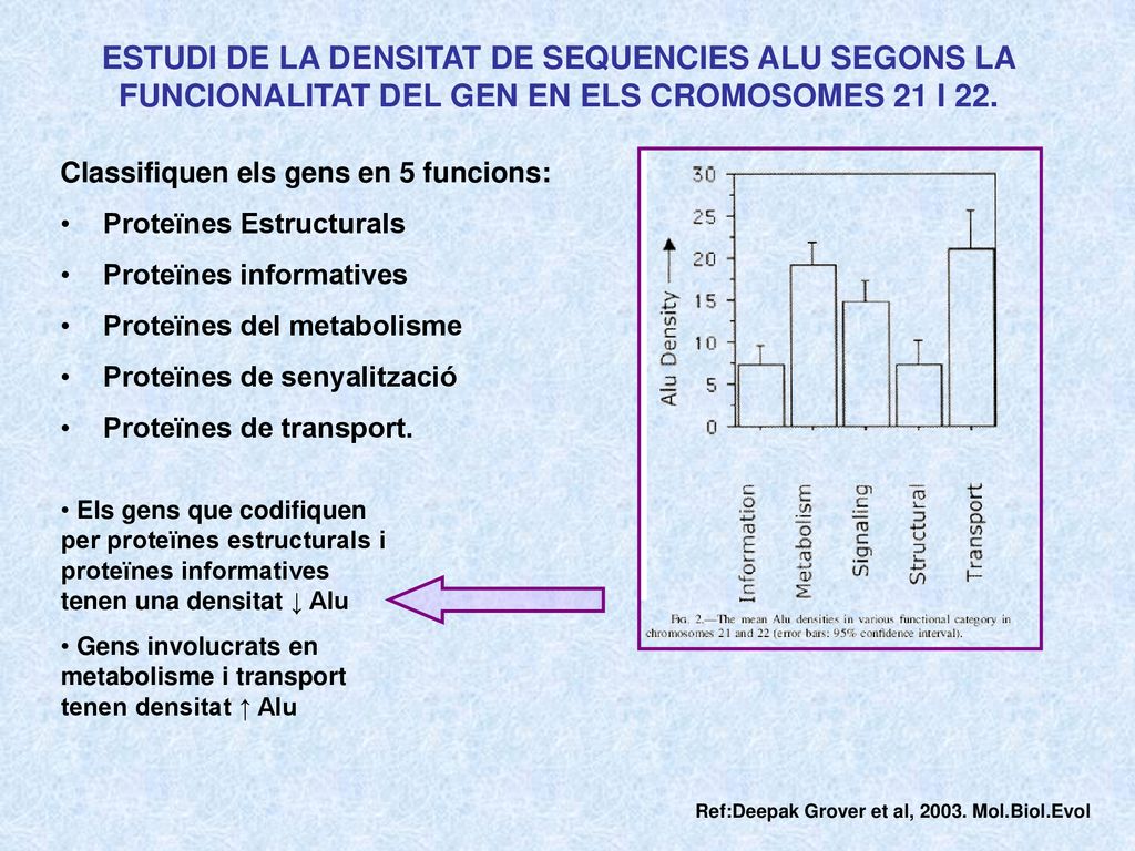 ESTUDI DE LA DENSITAT DE SEQUENCIES ALU SEGONS LA FUNCIONALITAT DEL GEN EN ELS CROMOSOMES 21 I 22.