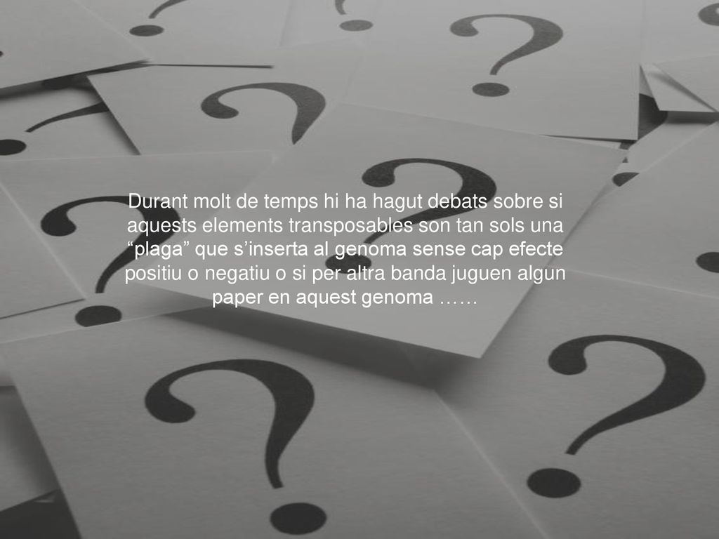 Durant molt de temps hi ha hagut debats sobre si aquests elements transposables son tan sols una plaga que s’inserta al genoma sense cap efecte positiu o negatiu o si per altra banda juguen algun paper en aquest genoma ……