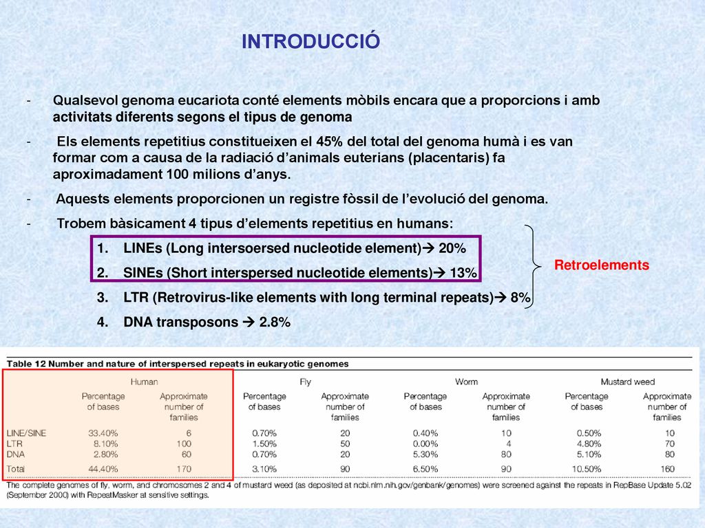 INTRODUCCIÓ Qualsevol genoma eucariota conté elements mòbils encara que a proporcions i amb activitats diferents segons el tipus de genoma.