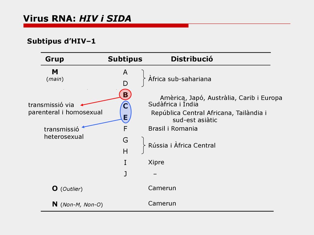 Virus RNA: HIV i SIDA Subtipus d’HIV–1 Grup Subtipus Distribució M A D